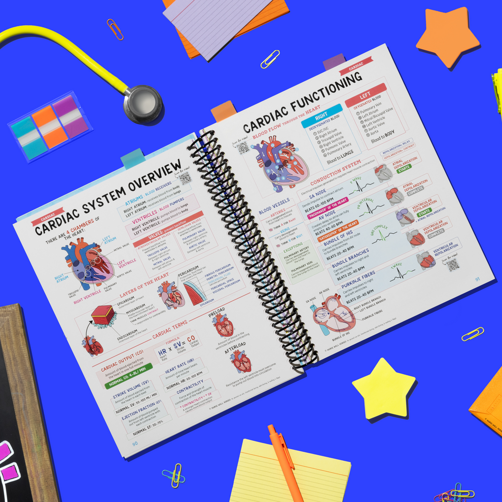 Nursing School Success bundle 300+ pages