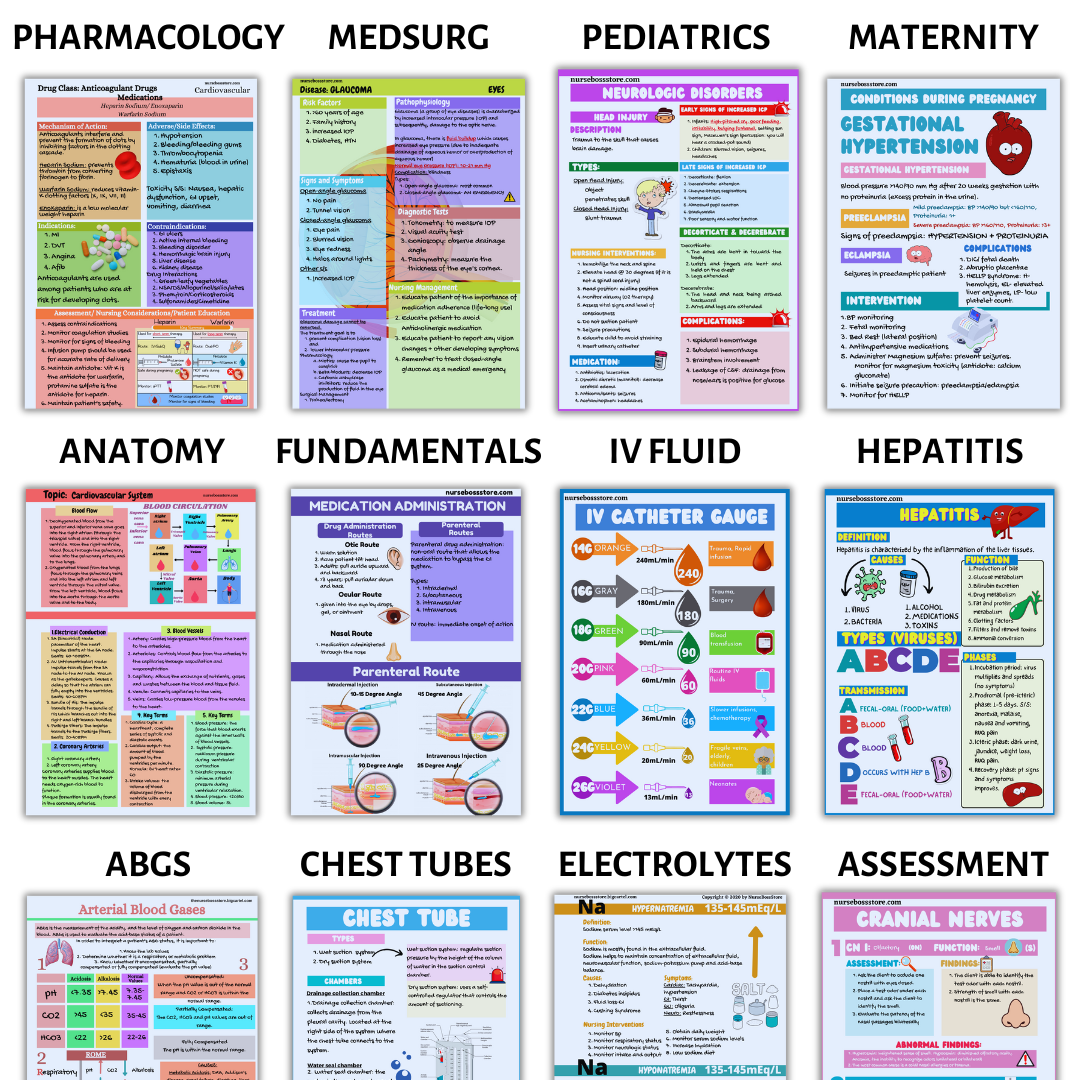 The Nursing Mega Bundle (600 Page)