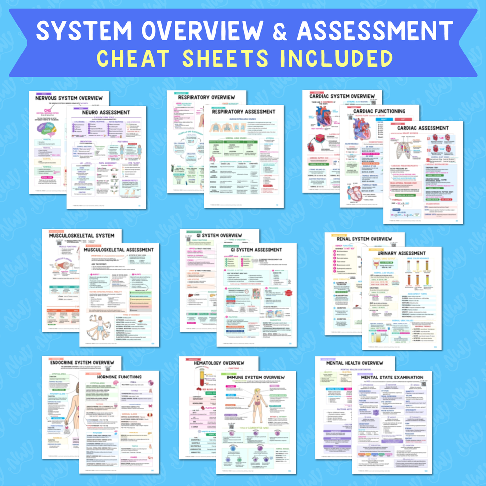 The Complete Nursing School Bundle – Spiral Bound Edition
