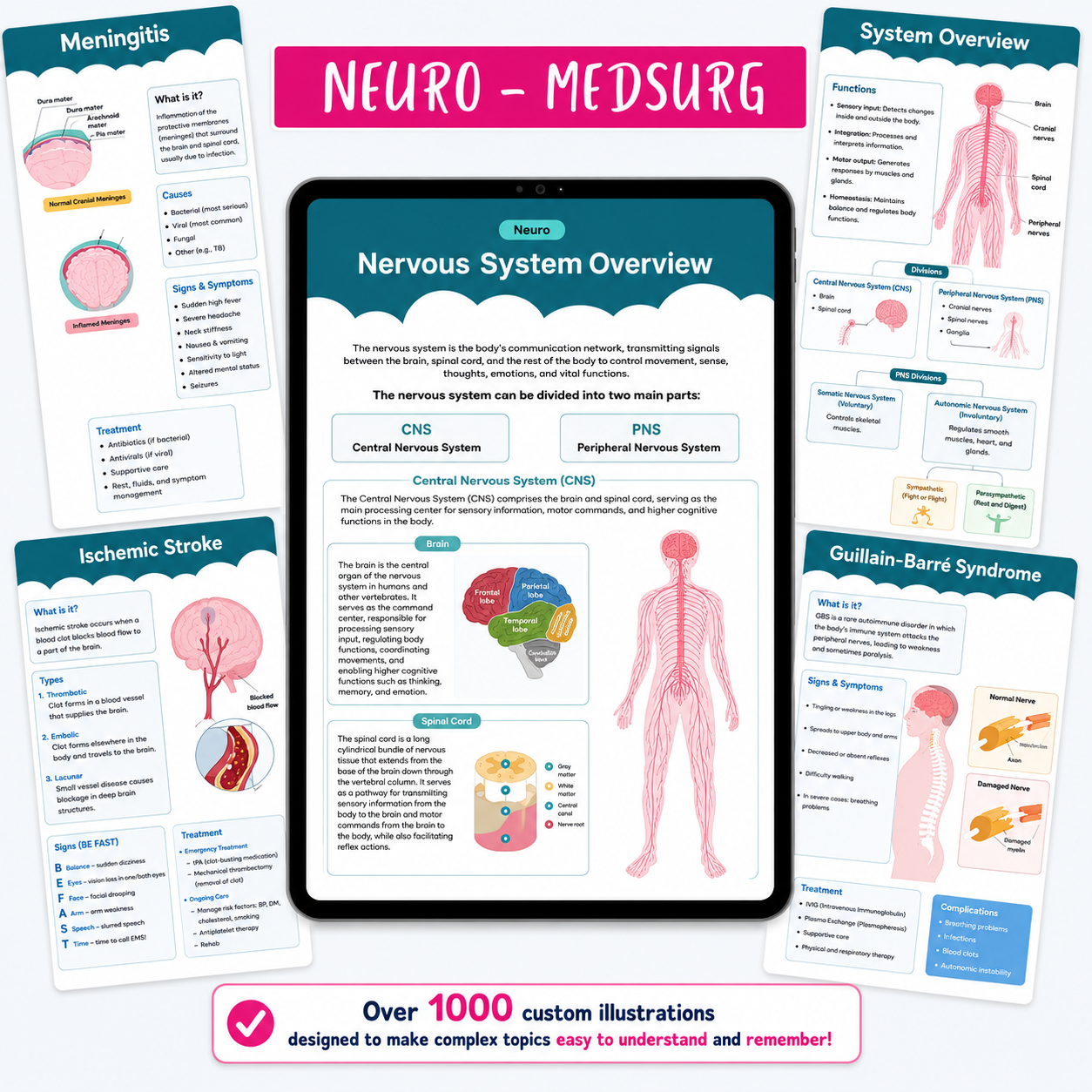 All-in-one Nursing School Notes, Guide for Nursing Students