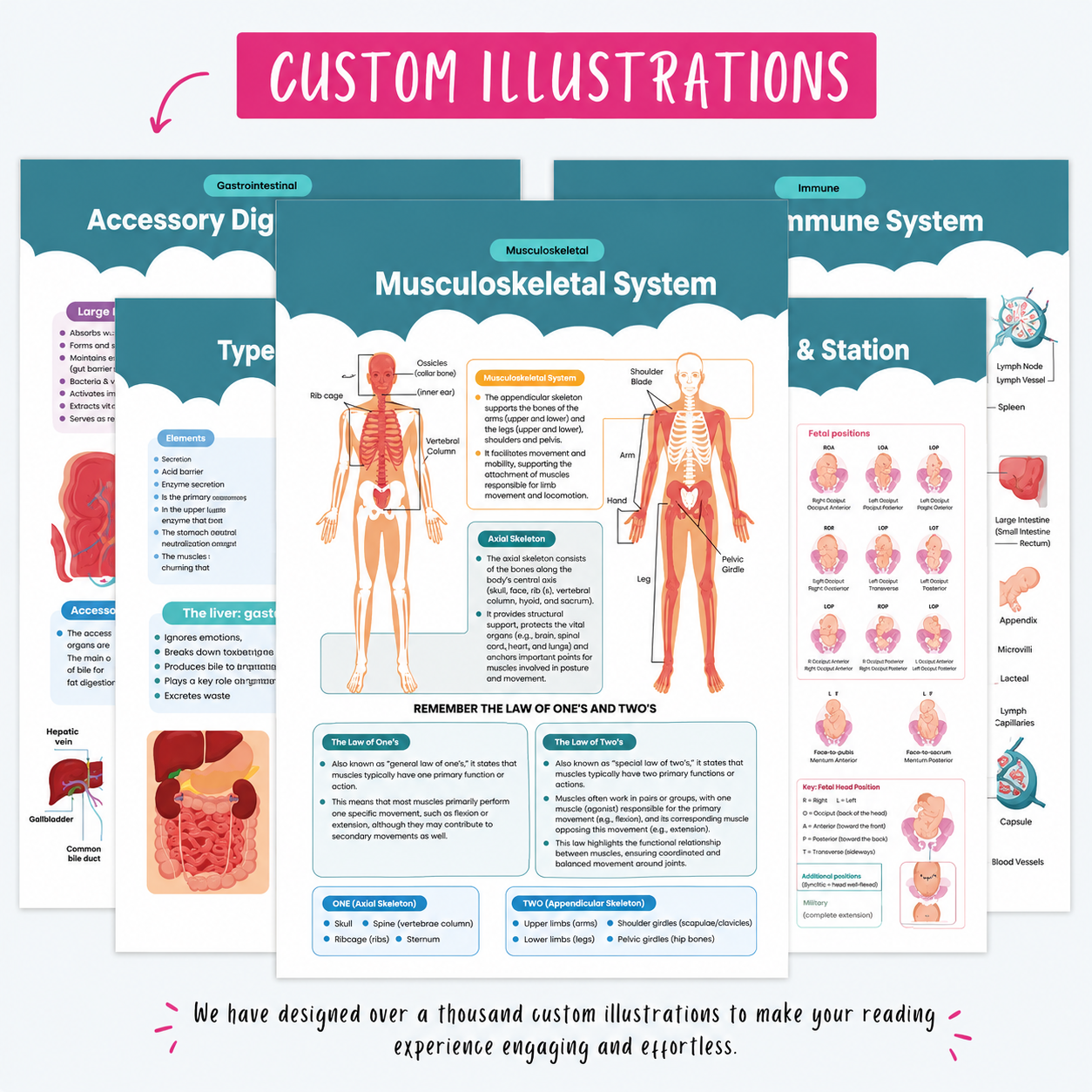 All-in-one Nursing School Notes, Guide for Nursing Students