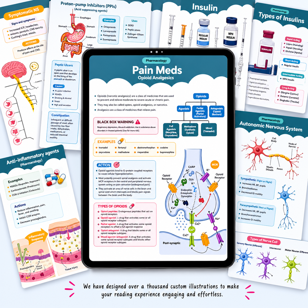 All-in-one Nursing School Notes, Guide for Nursing Students