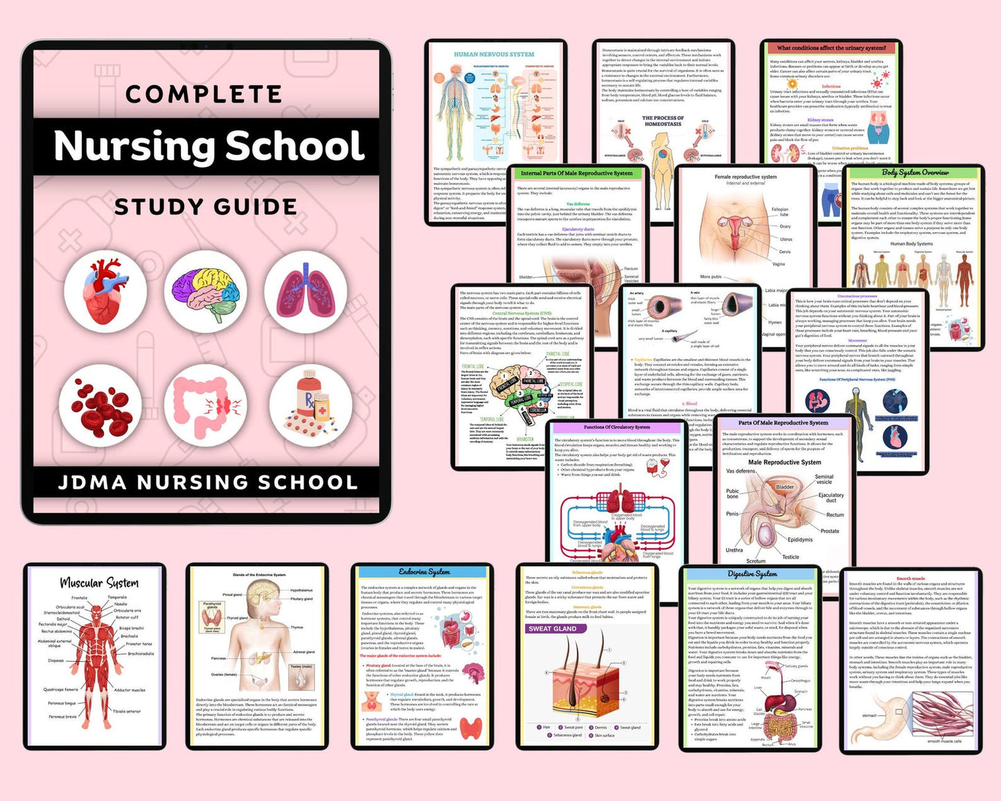 The Complete Nursing School Bundle