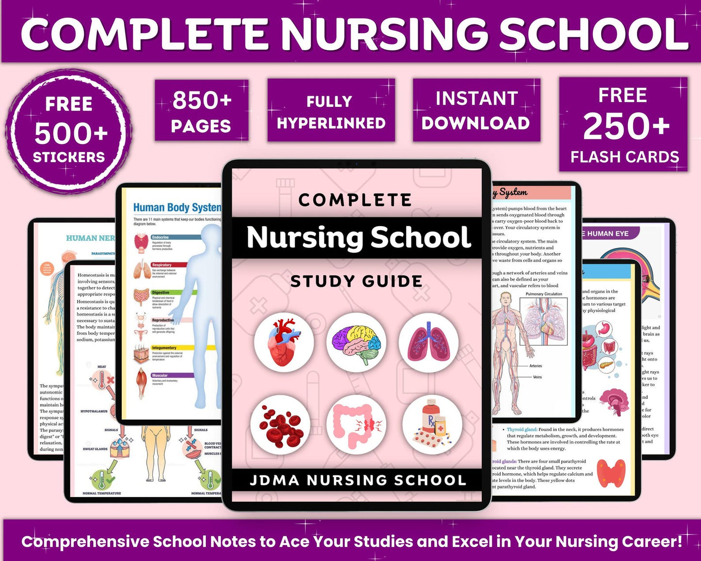 The Complete Nursing School Bundle