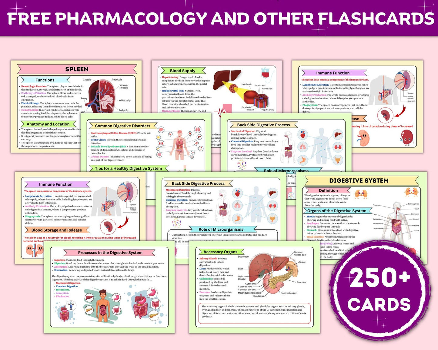 The Complete Nursing School Bundle